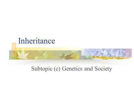 Inheritance Subtopic (c) Genetics and Society. Selective Breeding The ancestors of modern crop plants and animals ( e.g. wheat and beef cattle) were much.