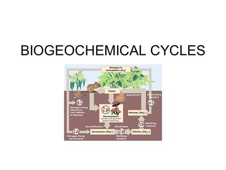 BIOGEOCHEMICAL CYCLES. The flow of energy in the biosphere is in one direction only: from the sun, through living organisms, into the environment, and.