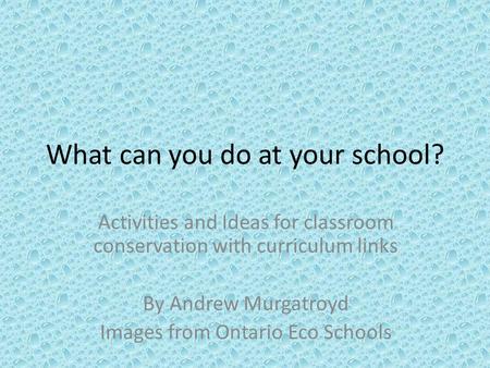 What can you do at your school? Activities and Ideas for classroom conservation with curriculum links By Andrew Murgatroyd Images from Ontario Eco Schools.