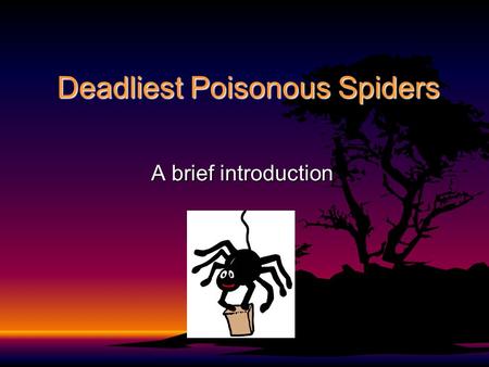 Deadliest Poisonous Spiders A brief introduction.