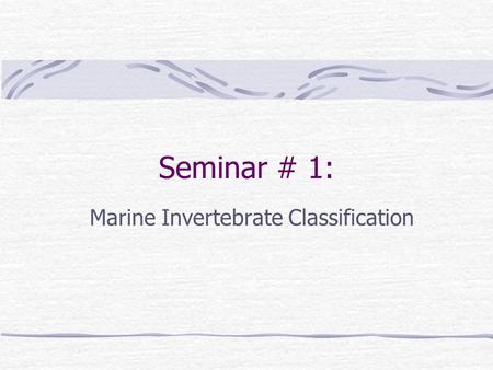Seminar # 1: Marine Invertebrate Classification. Standard Classification Developed by Carolus Linnaeus in the 18 th century Organizes organisms into groups.