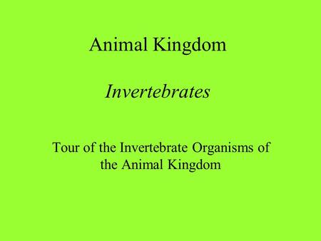 Animal Kingdom Invertebrates Tour of the Invertebrate Organisms of the Animal Kingdom.