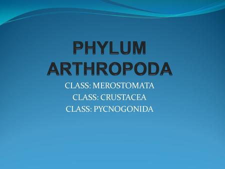CLASS: MEROSTOMATA CLASS: CRUSTACEA CLASS: PYCNOGONIDA
