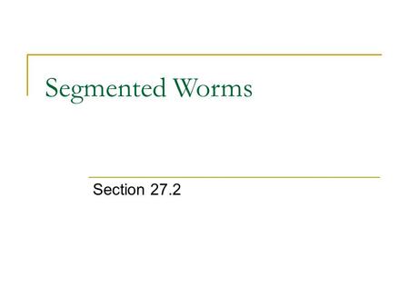 Segmented Worms Section 27.2.