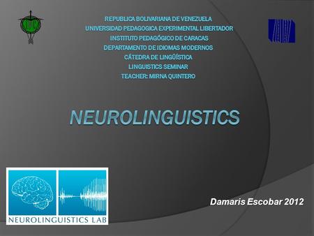 Damaris Escobar 2012. What is neurolinguistics?  It is the study of the neural mechanisms in the human brain that control the comprehension, production,
