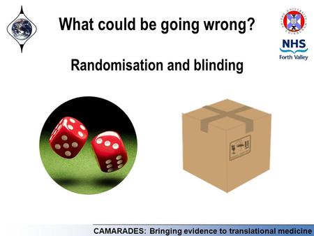 CAMARADES: Bringing evidence to translational medicine What could be going wrong? Randomisation and blinding.