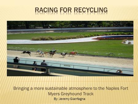 Bringing a more sustainable atmosphere to the Naples Fort Myers Greyhound Track By: Jeremy Gianfagna.