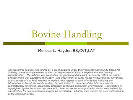 Bovine Handling Melissa L. Hayden BS,CVT,LAT This workforce solution was funded by a grant awarded under the President’s Community-Based Job Training Grants.