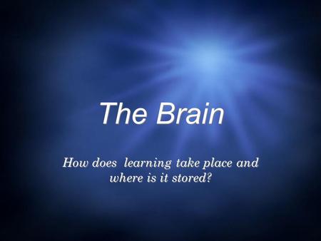 The Brain How does learning take place and where is it stored?