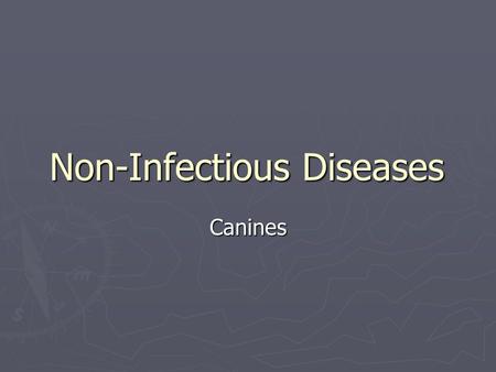 Non-Infectious Diseases Canines. ► Cannot be caught from others ► Caused by  Physical Injuries  Genetic Defects  Environment  Diet.