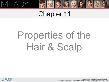 Properties of the Hair & Scalp