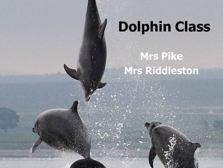 Dolphin Class Mrs Pike Mrs Riddleston. 8.55 10.30 B R E AK B R E AK 10.45 12.00 L U N C HL U N C H 1.00 3.15 MON MON SCHOOL ASSEMBLY MATHS ENGLISH PoR.