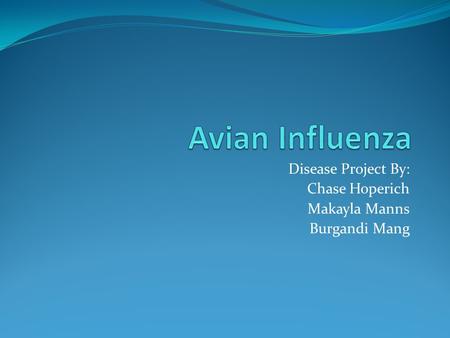 Disease Project By: Chase Hoperich Makayla Manns Burgandi Mang.