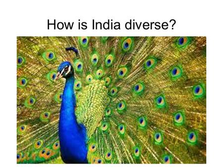 How is India diverse?. Political Map check your work.