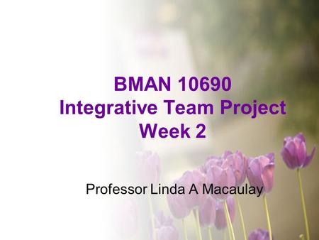 BMAN 10690 Integrative Team Project Week 2 Professor Linda A Macaulay.