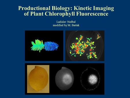 Productional Biology: Kinetic Imaging of Plant Chlorophyll Fluorescence Ladislav Nedbal modified by M. Bartak.