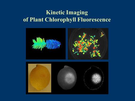 Kinetic Imaging of Plant Chlorophyll Fluorescence.