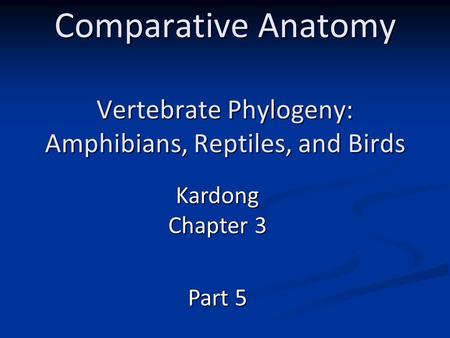 Comparative Anatomy Vertebrate Phylogeny: Amphibians, Reptiles, and Birds Kardong Chapter 3 Part 5.