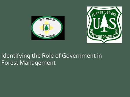 Identifying the Role of Government in Forest Management.
