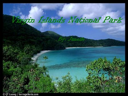 Virgin Islands National Park By: Janelle. Park Facts  The Virgin Islands is in a Beautiful part of the Caribbean Sea  The weather is great!  In the.