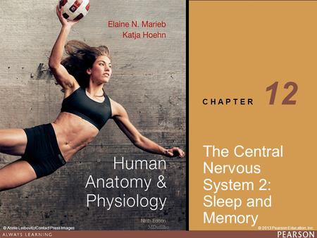 Human Anatomy & Physiology Ninth Edition C H A P T E R © 2013 Pearson Education, Inc.© Annie Leibovitz/Contact Press Images The Central Nervous System.