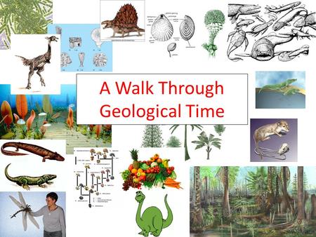 A Walk Through Geological Time. Directions: 1. Complete your time table by visiting each of the 8 stations. 2.You will have 3 minutes at each station.
