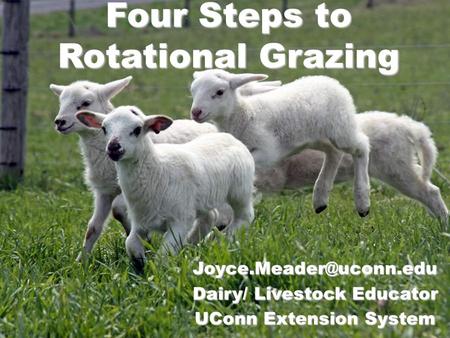 Four Steps to Rotational Grazing Dairy/ Livestock Educator UConn Extension System.