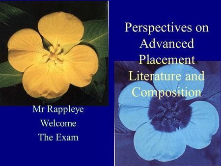Mr Rappleye Welcome The Exam Perspectives on Advanced Placement Literature and Composition.
