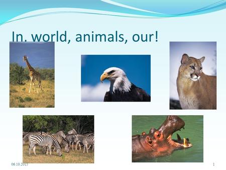 In, world, animals, our! 06.10.20151. Animals in our world!!! 2.