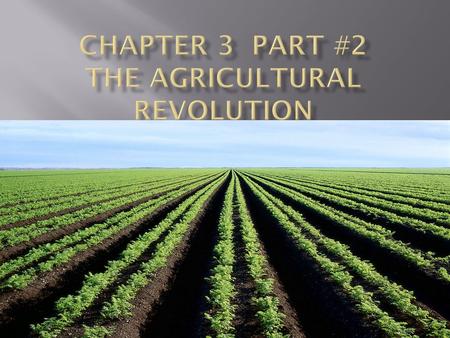 Chapter 3 Part #2 The Agricultural Revolution