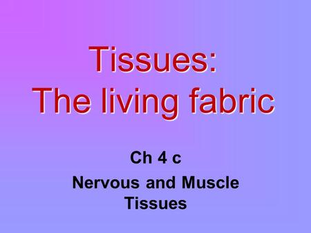 Tissues: The living fabric Ch 4 c Nervous and Muscle Tissues.