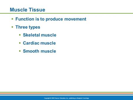 Copyright © 2009 Pearson Education, Inc., publishing as Benjamin Cummings Muscle Tissue  Function is to produce movement  Three types  Skeletal muscle.