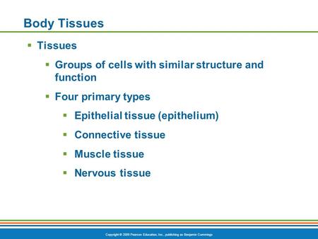 Copyright © 2009 Pearson Education, Inc., publishing as Benjamin Cummings Body Tissues  Tissues  Groups of cells with similar structure and function.