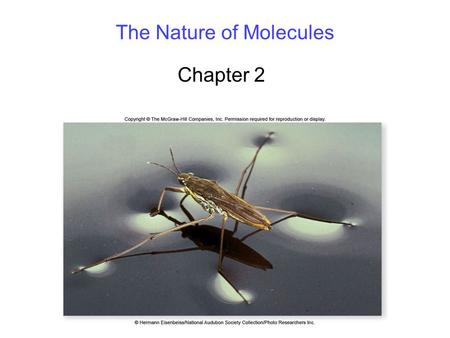 The Nature of Molecules Chapter 2. 2 Atomic Structure All matter is composed of atoms. Understanding the structure of atoms is critical to understanding.