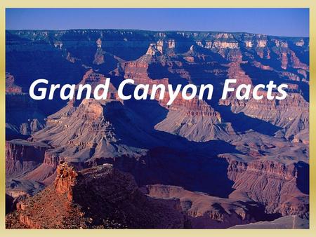 Grand Canyon Facts. Length of the Grand Canyon The Grand Canyon is 277 miles long; 443 kilometers.