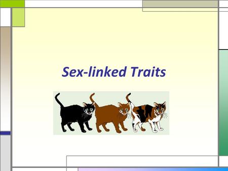 Sex-linked Traits. Sex Determination  Sex chromosomes – determines the sex of an individual YY XX  Males have X and Y  Two kinds of gametes  Female.