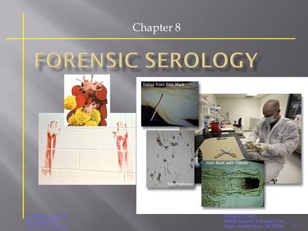 8-1 PRENTICE HALL ©2008 Pearson Education, Inc. Upper Saddle River, NJ 07458 FORENSIC SCIENCE An Introduction By Richard Saferstein Chapter 8.
