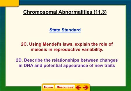 Chromosomal Abnormalities (11.3)