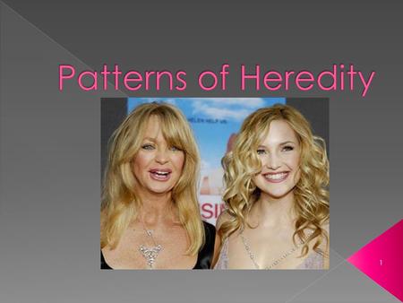 Patterns of Heredity.