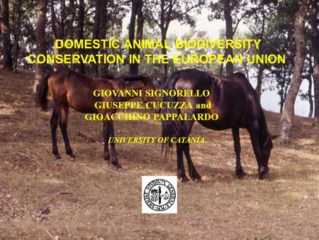 DOMESTIC ANIMAL BIODIVERSITY CONSERVATION IN THE EUROPEAN UNION GIOVANNI SIGNORELLO GIUSEPPE CUCUZZA and GIOACCHINO PAPPALARDO UNIVERSITY OF CATANIA.