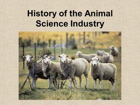History of the Animal Science Industry. Early Domestication Humans began domesticating animals more than 10,000 years ago beginning with dogs.domesticating.