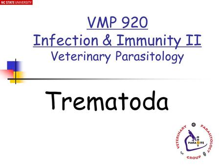 VMP 920 Infection & Immunity II Veterinary Parasitology