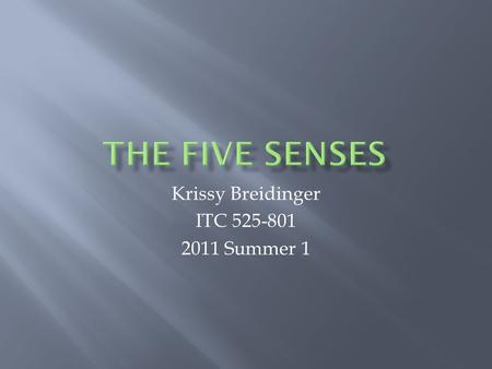Krissy Breidinger ITC 525-801 2011 Summer 1 MENU Sight Hearing Touch Taste Smell Test Yourself.