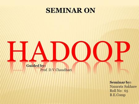 SEMINAR ON Guided by: Prof. D.V.Chaudhari Seminar by: Namrata Sakhare Roll No: 65 B.E.Comp.