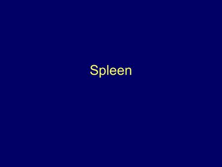 Spleen. Functions of the spleen 1. Haematopoiesis 2. Reservoir – storage or sequestration of plt and other cells 3. Phagocytosis 4. Immunity.