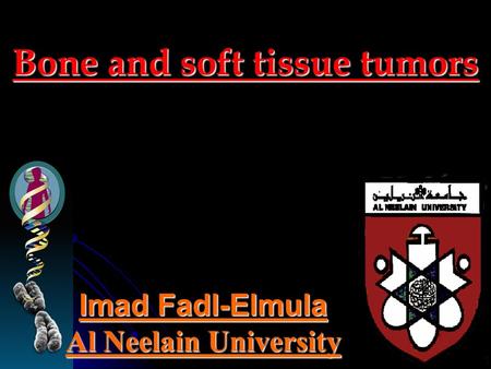 Bone and soft tissue tumors Imad Fadl-Elmula Al Neelain University.