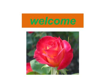 Welcome. Identity Subject-English Class-2 Unit-8, Lesson-2 Murtaza Mahmudul Asst.teacher Sonapara gps Kalai,Joypurhat.
