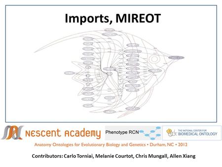 Imports, MIREOT Contributors: Carlo Torniai, Melanie Courtot, Chris Mungall, Allen Xiang.