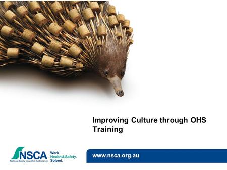 Improving Culture through OHS Training www.nsca.org.au.