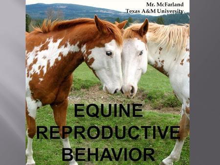 Mr. McFarland Texas A&M University.  Answer the questions below about these categories: Breeding season Reproductive behavior  What do you know?  What.